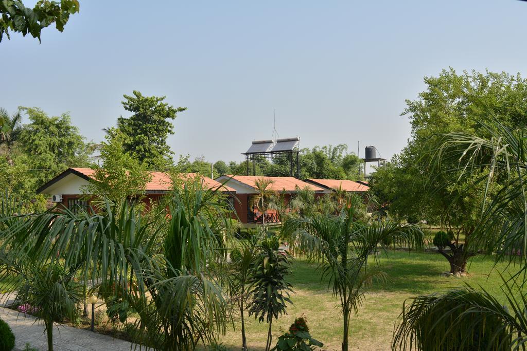 Jungle World Resort Sauraha Exterior foto