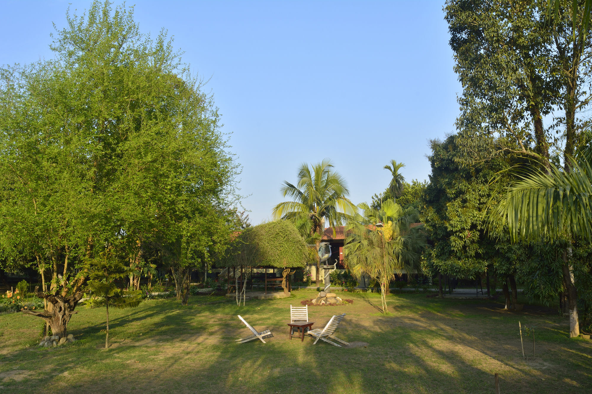 Jungle World Resort Sauraha Exterior foto