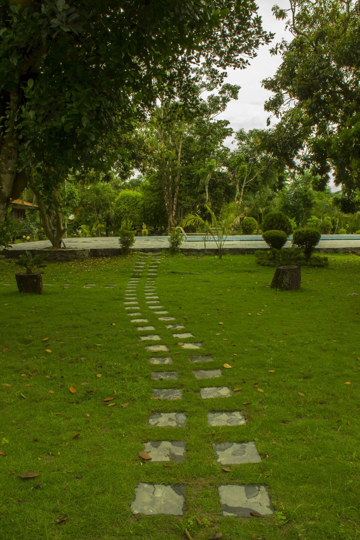 Jungle World Resort Sauraha Exterior foto