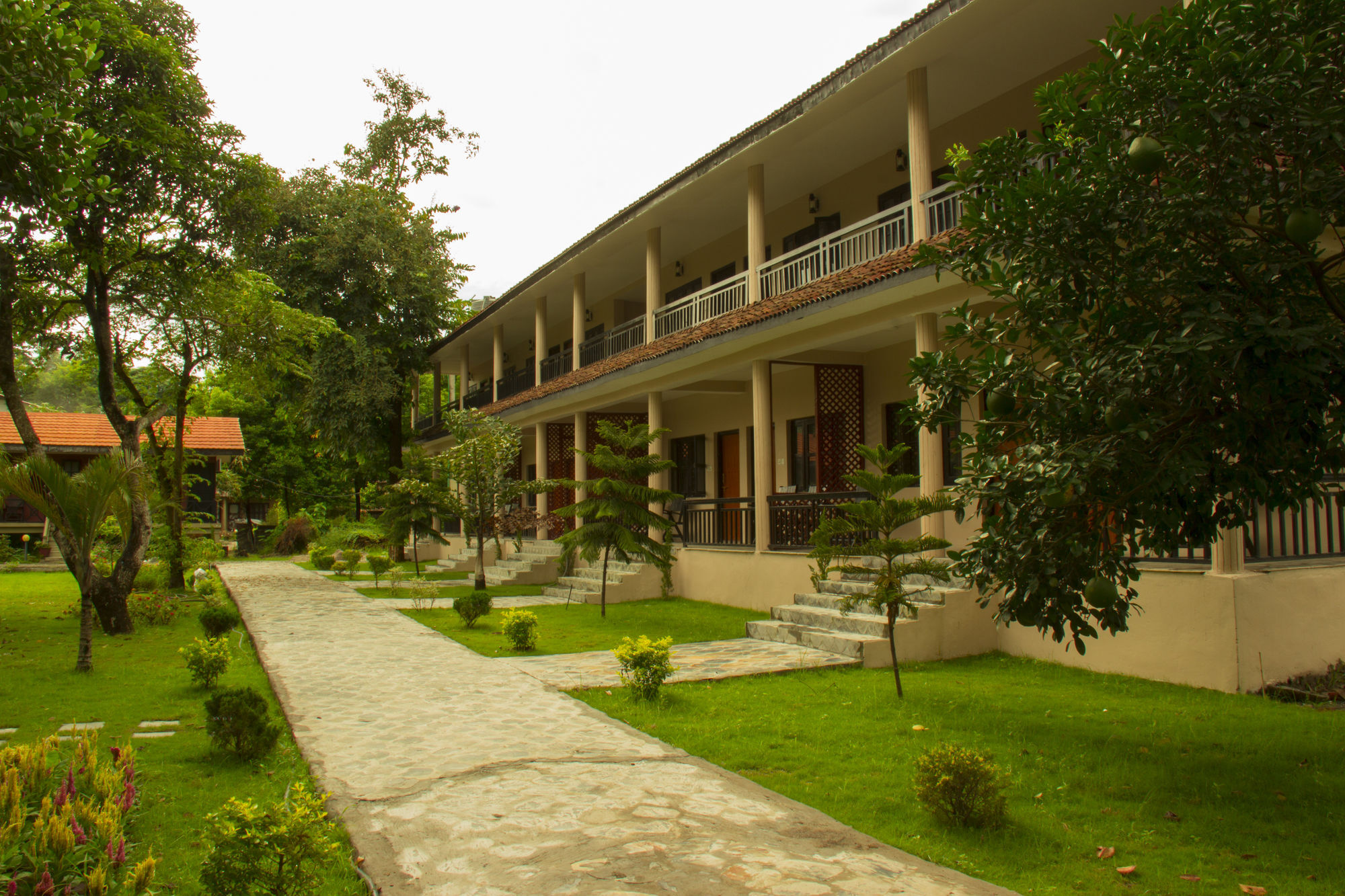 Jungle World Resort Sauraha Exterior foto